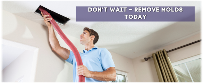 Air Duct Mold Removal in Arlington TX
